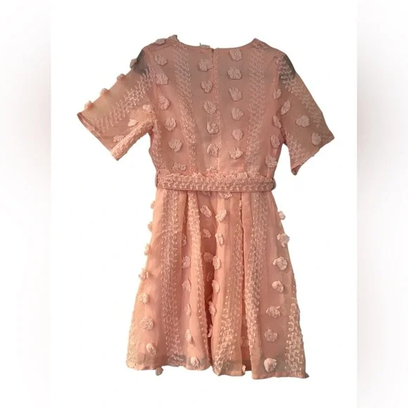 Shein Pink Embroidered Mini Dress Size Medium - Picture 6 of 10